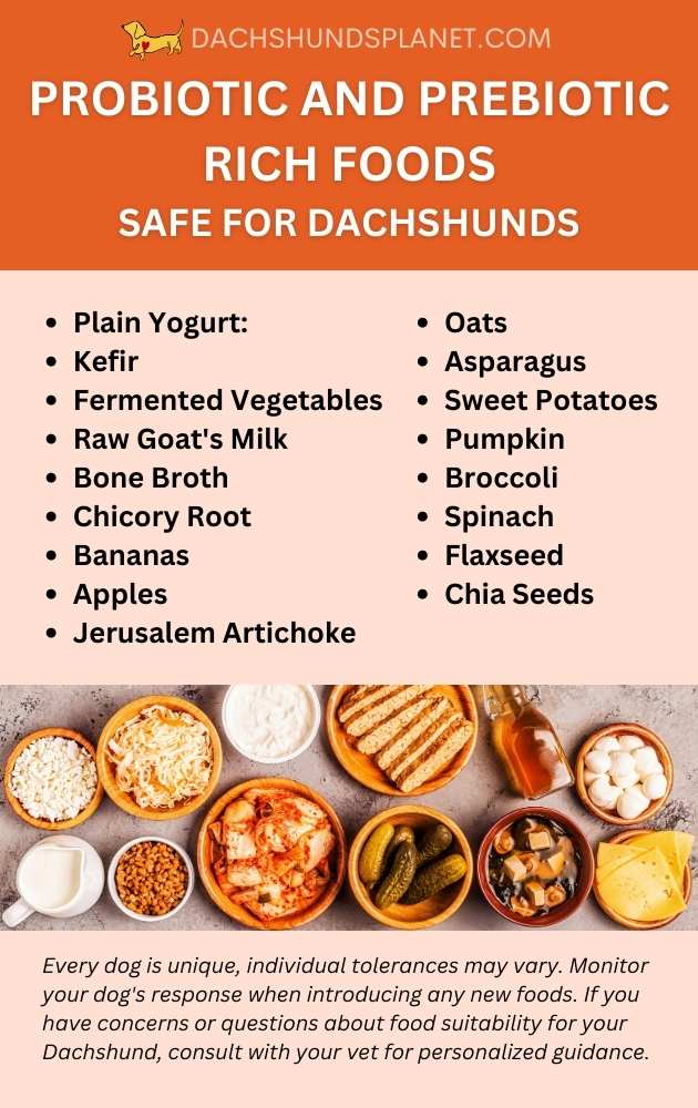 Probiotic-Rich Foods for Dachshunds 