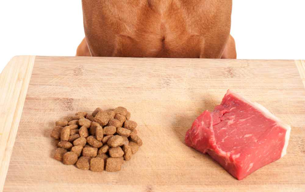 raw food for dachshund