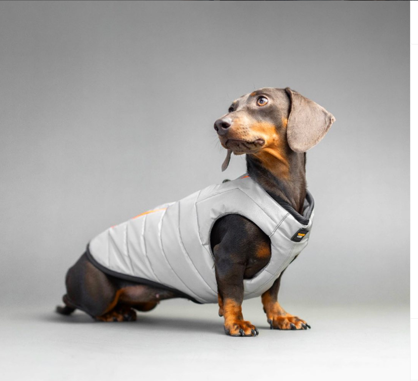 winter coats for dachshunds