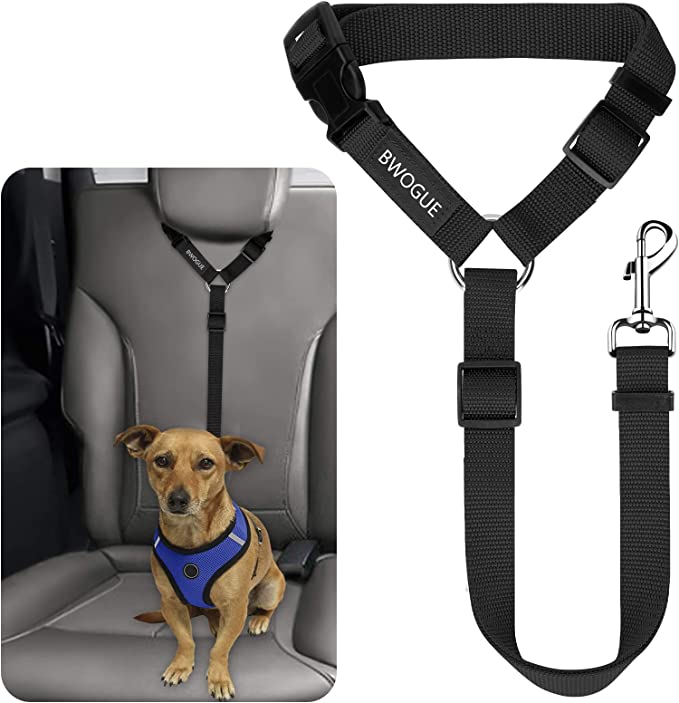 small dog safety seatbelt