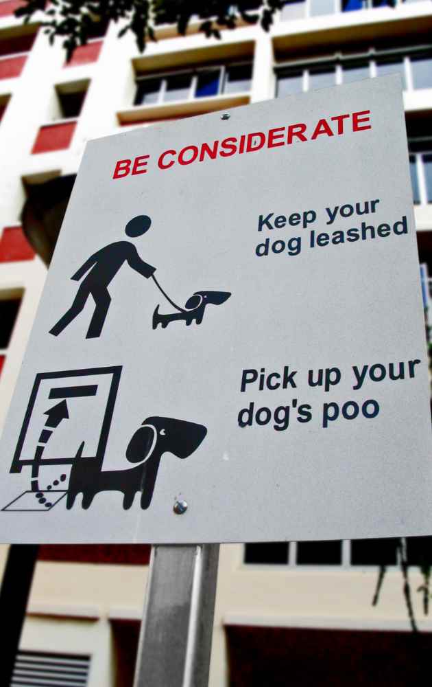 dogs poo bags