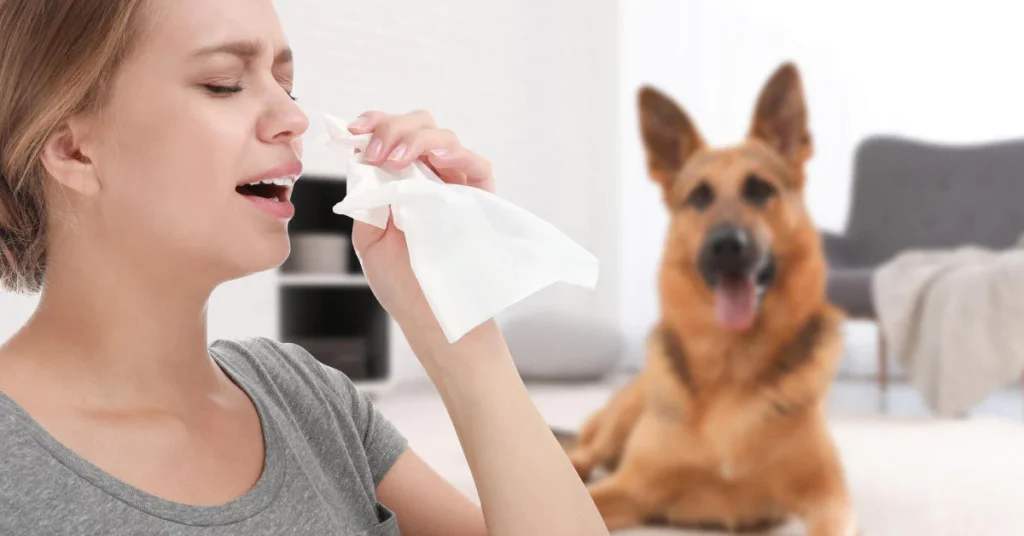runny nose dog allergy