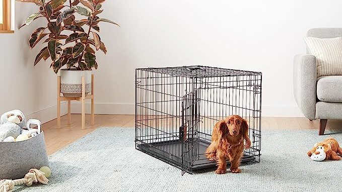 dachshund crate