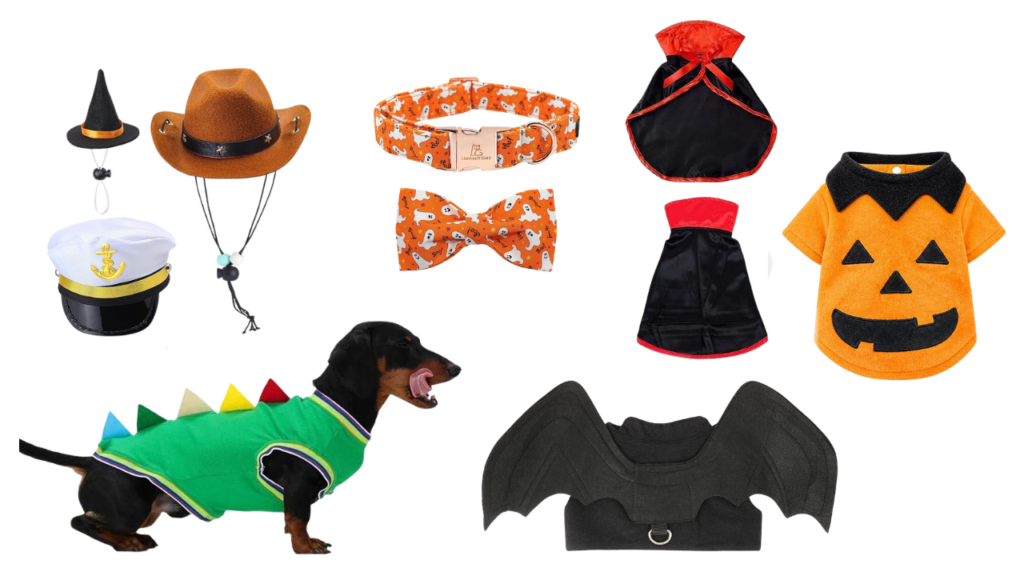 halloween costumes for dachshunds