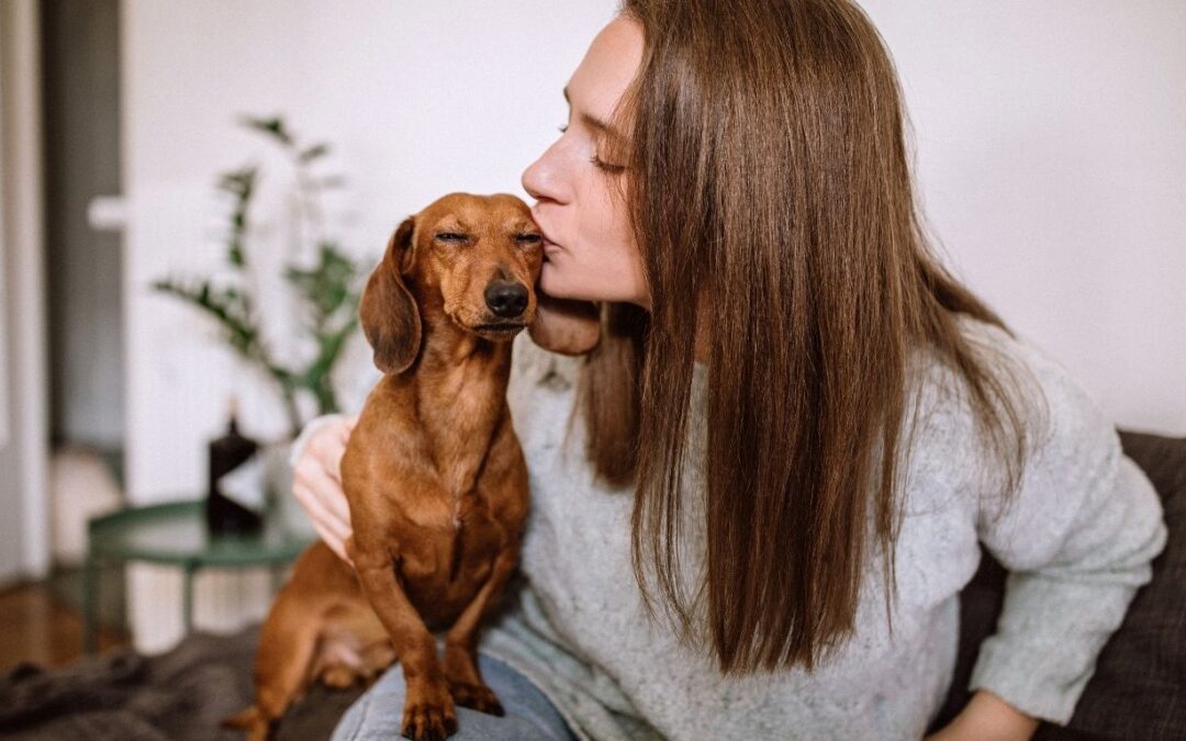 Do Dachshunds Choose a Favorite Person?
