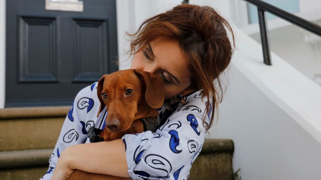 are dachshunds loyal