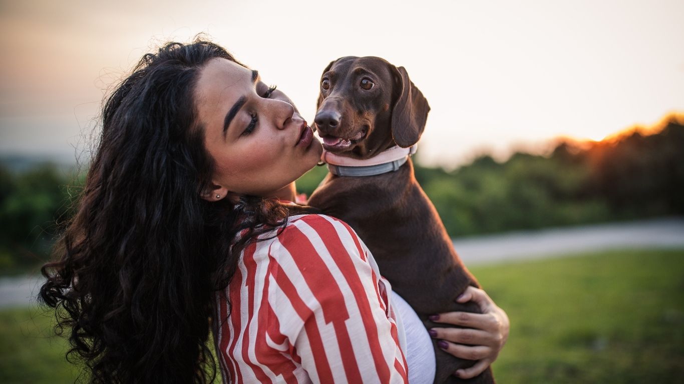 Dachshund temperament 