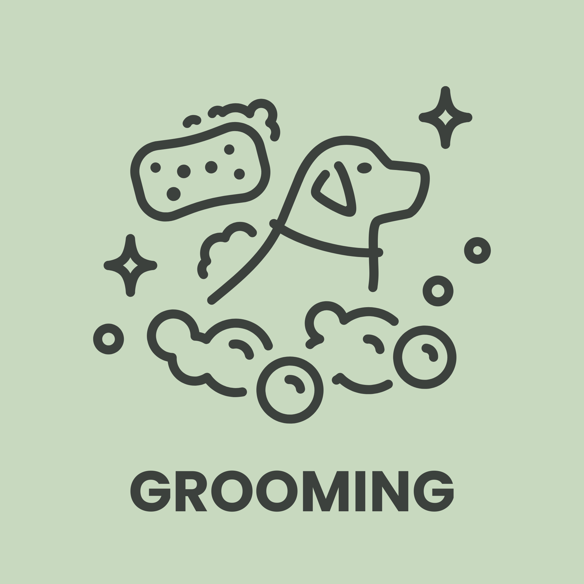 dachshund's grooming