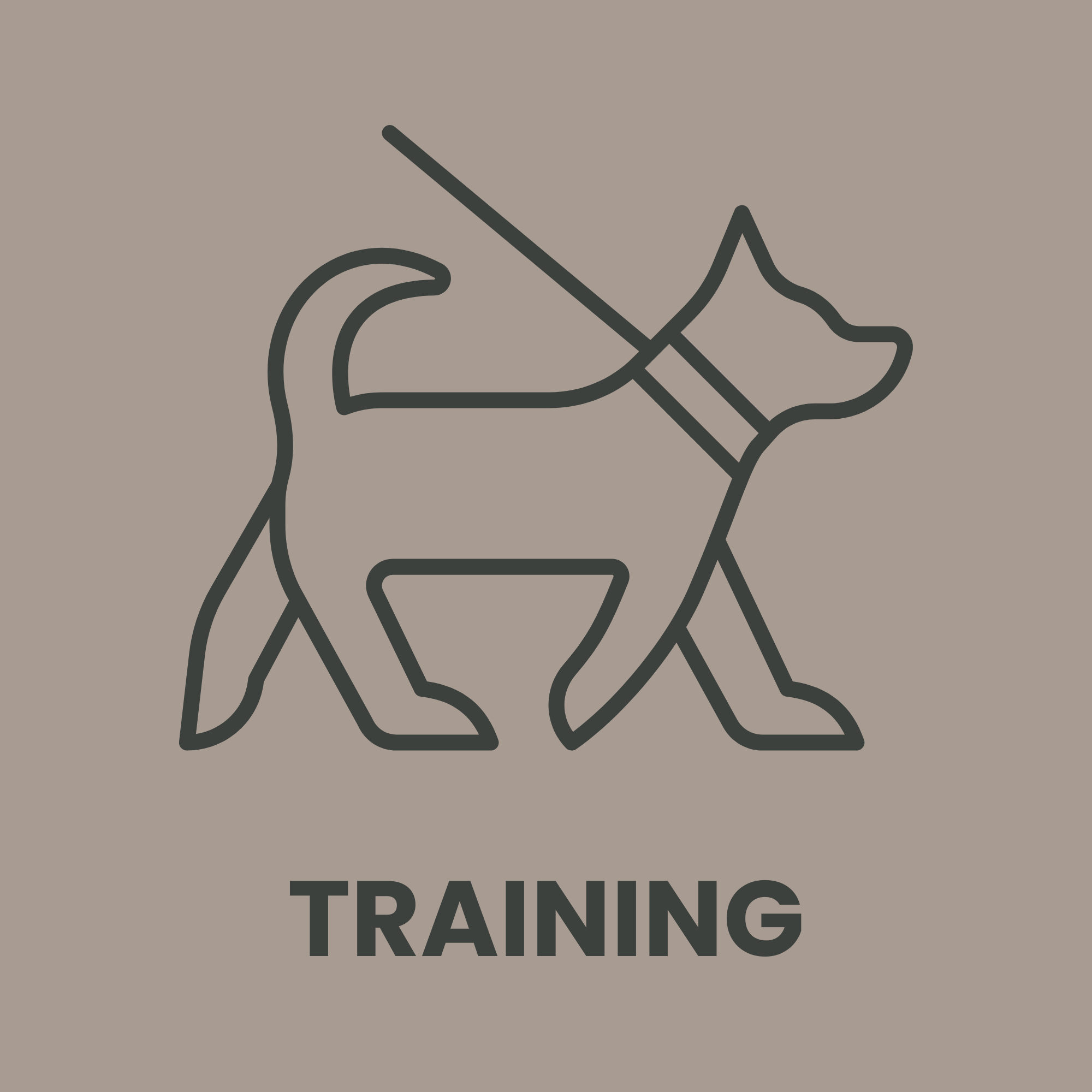 dachshund's training