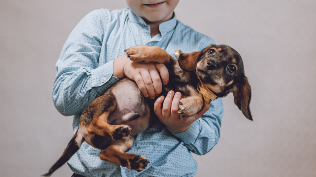 dachshund and children together