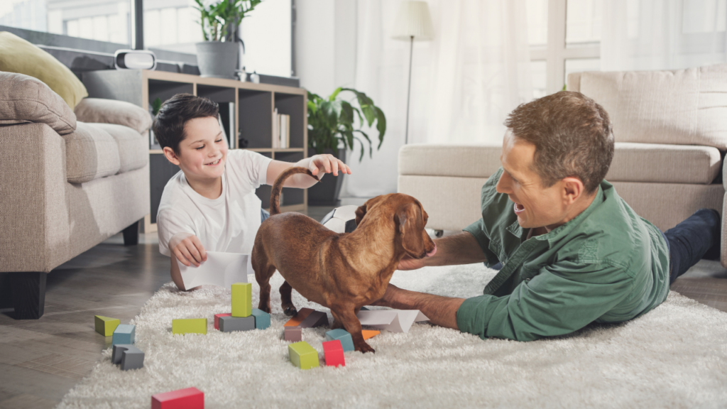 mental stimulation for Dachshunds